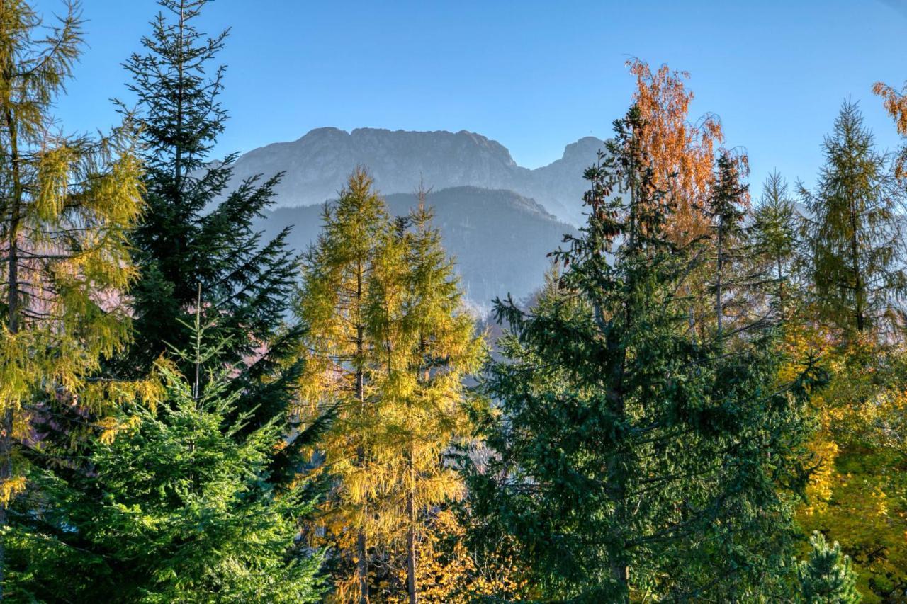 Apartament Biala Roza Zakopane Dış mekan fotoğraf